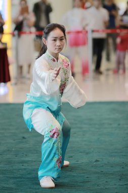 Wu shu gösteride 2017 hk