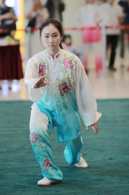 Wu shu gösteride 2017 hk