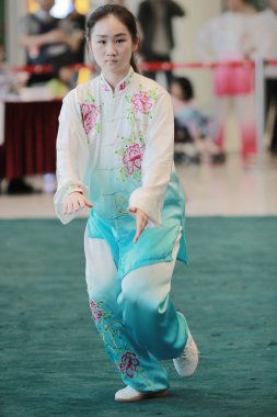 Wu shu gösteride 2017 hk