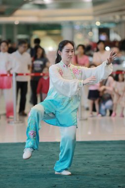 Wu shu gösteride 2017 hk