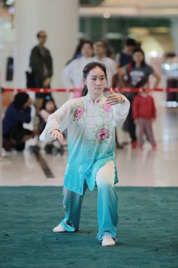 Wu shu gösteride 2017 hk