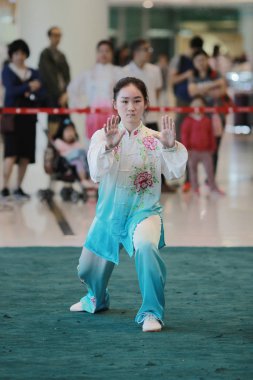 Wu shu gösteride 2017 hk