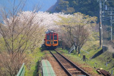 Kameoka Torokko istasyonu Kyoto, eski tren. 
