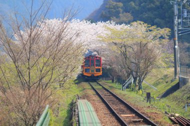 Kameoka Torokko istasyonu Kyoto, eski tren. 