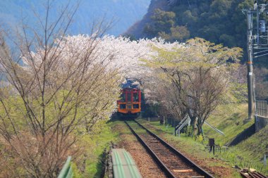 Kameoka Torokko istasyonu Kyoto, eski tren. 