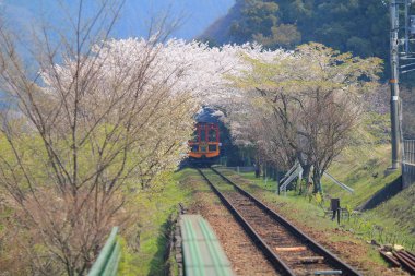 Kameoka Torokko istasyonu Kyoto, eski tren. 