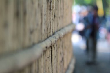  Arashiyama, Kyoto 'daki ünlü bambu korusu - Japonya