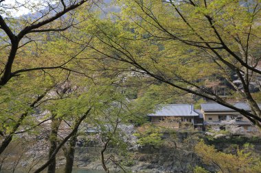 Arashiyama dağın Kyoto önünde Katsura Nehri