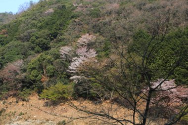 dağlar ve romantik tren K dışında nehirden görünümü