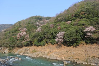dağlar ve romantik tren K dışında nehirden görünümü