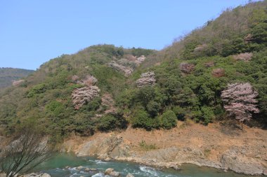 dağlar ve romantik tren K dışında nehirden görünümü