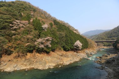 dağlar ve romantik tren K dışında nehirden görünümü