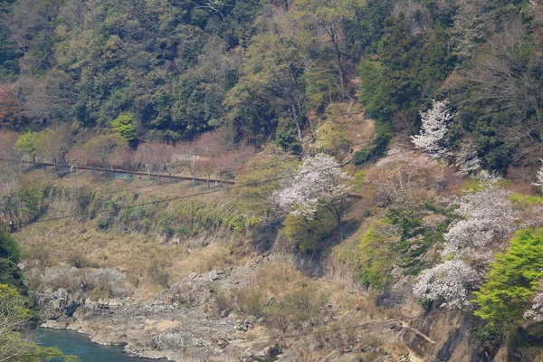 京都の嵐山 — ストック写真