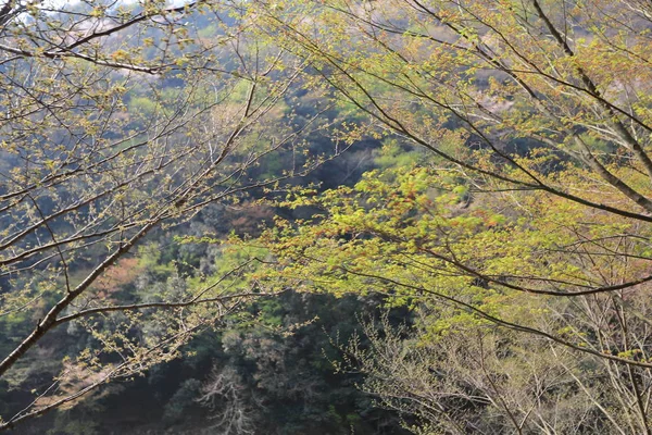 Arashiyama dağın Kyoto önünde Katsura Nehri — Stok fotoğraf