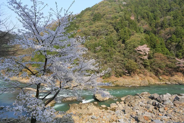 View of mountains and river from the Romantic Train outside of K — Stock Photo, Image