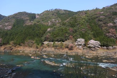 Arashiyama dağın Kyoto önünde Katsura Nehri