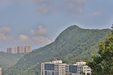 hong Kong Dağı Nicholson 