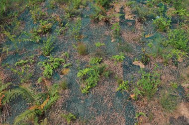 Anderson, kırsal istinat duvarı 