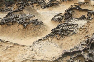 Tayvan Yehliu Geopark mantar taşlara