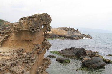 Tayvan Yehliu Geopark mantar taşlara