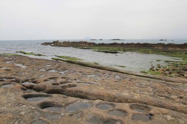 Tayvan Yehliu Geopark mantar taşlara