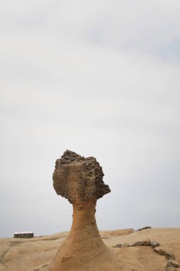 Kraliçe kafa Rock Yehliu Geopark, Tayvan