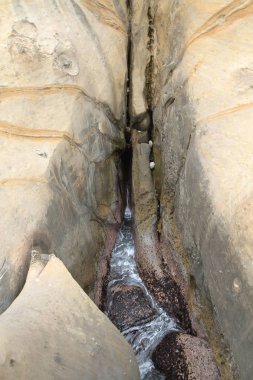 Tayvan Yehliu Geopark mantar taşlara