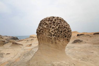 Tayvan Yehliu Geopark mantar taşlara