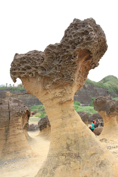 野柳地質公園、台湾の女王頭岩 — ストック写真