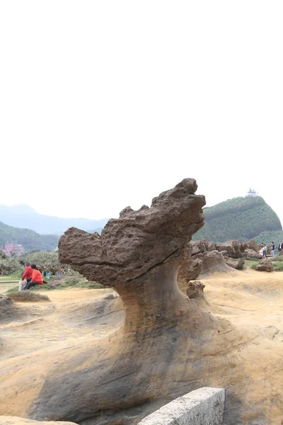 Rocce di funghi al Geoparco Yehliu a Taiwan — Foto Stock