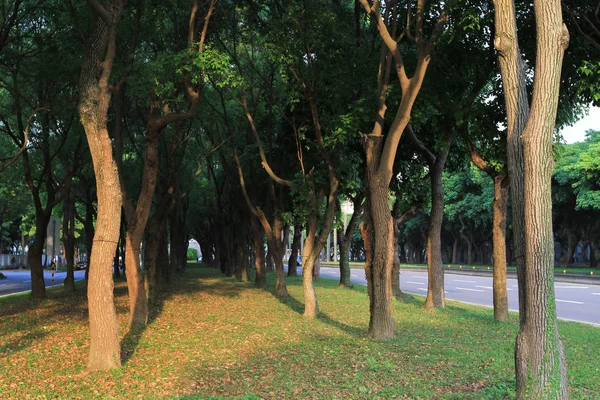 2011 年で近くの Jieshou 公園の夕日 — ストック写真