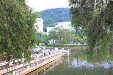 Lake Shatin Cuhk yansıması