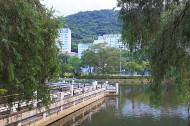 Lake Shatin Cuhk yansıması