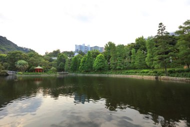 Lake Shatin Cuhk yansıması