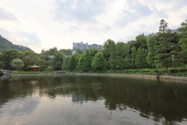 Lake Shatin Cuhk yansıması