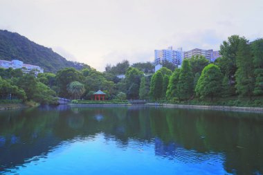 Lake Shatin Cuhk yansıması