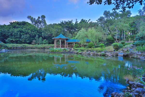  lotus Fanling Hong Lok Park hk