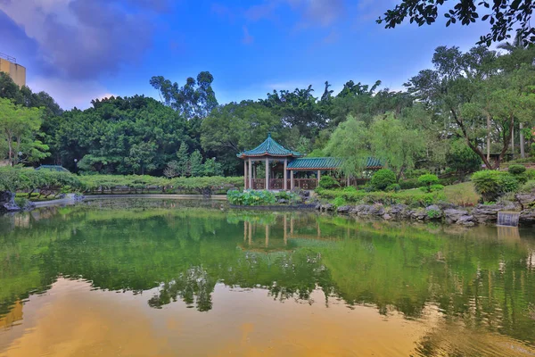  lotus Fanling Hong Lok Park hk