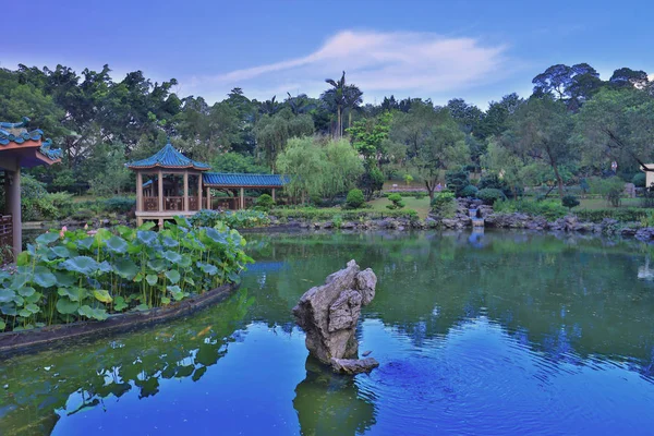  lotus Fanling Hong Lok Park hk