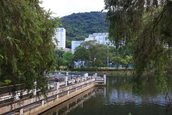湖沙田香港中文大学反映了 — 图库照片