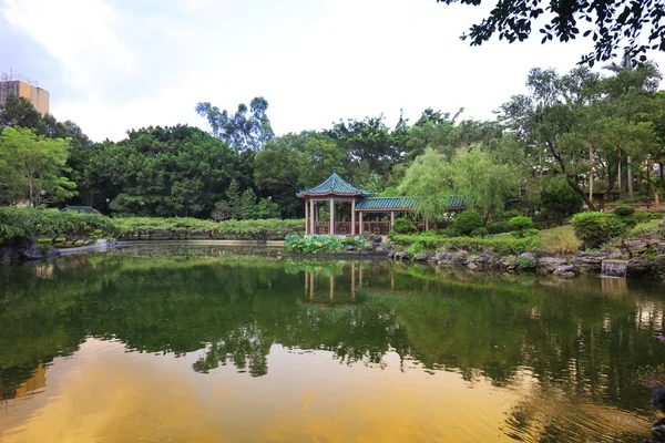 El loto en Fanling Hong Lok Park hk —  Fotos de Stock