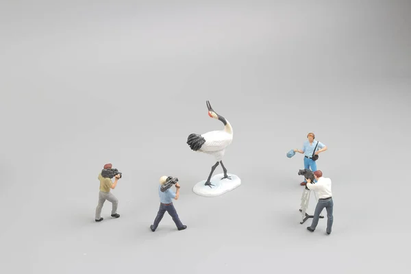 fun tiny figure taking the video of Crane