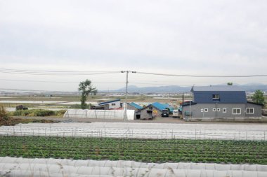 Sapporo ve Asahikawa hızlı tren görünümü
