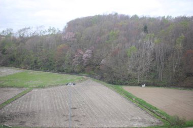 Sapporo ve Asahikawa hızlı tren görünümü