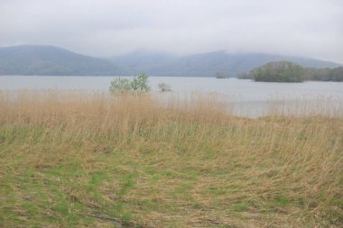 Sapporo ve Asahikawa hızlı tren görünümü