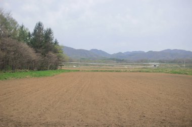 Sapporo ve Asahikawa hızlı tren görünümü