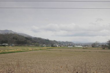 Sapporo ve Asahikawa hızlı tren görünümü
