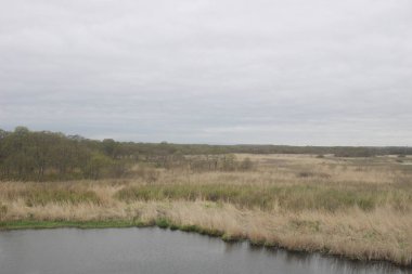 Sapporo ve Asahikawa hızlı tren görünümü