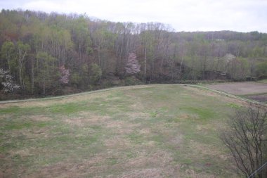 Sapporo ve Asahikawa hızlı tren görünümü