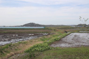 Sapporo ve Asahikawa hızlı tren görünümü